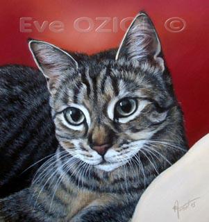 Misty - Eve Oziol