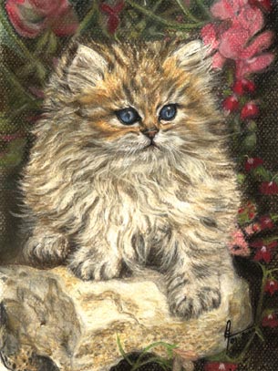 Nounours - Eve Oziol