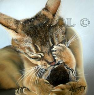 Gros calin - Eve Oziol