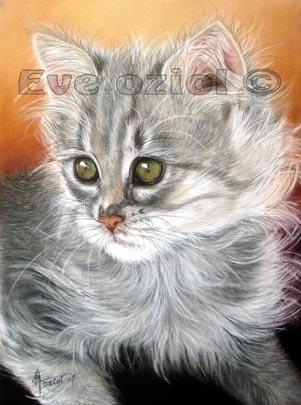Peluche - Eve Oziol