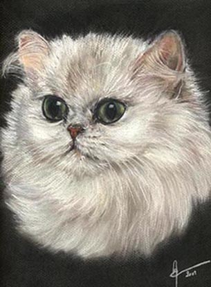 Plume - Eve Oziol
