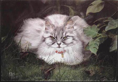 P'tite Princesse - Eve Oziol