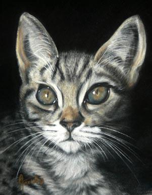 Regard - Eve Oziol