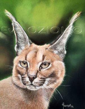 Regard lointain - Eve Oziol