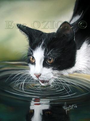 Petite soif ! - Eve Oziol