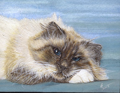 Miniature : Somnolence - Eve Oziol