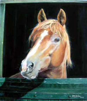 Horse - Rob Keller
