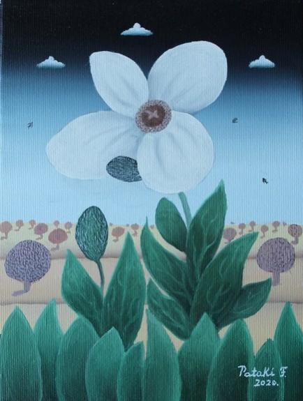 White Poppy - Ferenc Pataki
