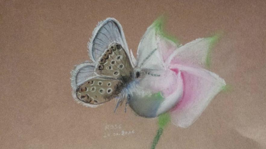 ECLOSION - Rose Derrien - Click to enlarge