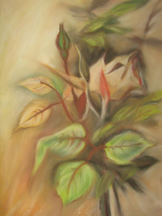 ILLUSION - Rose Derrien