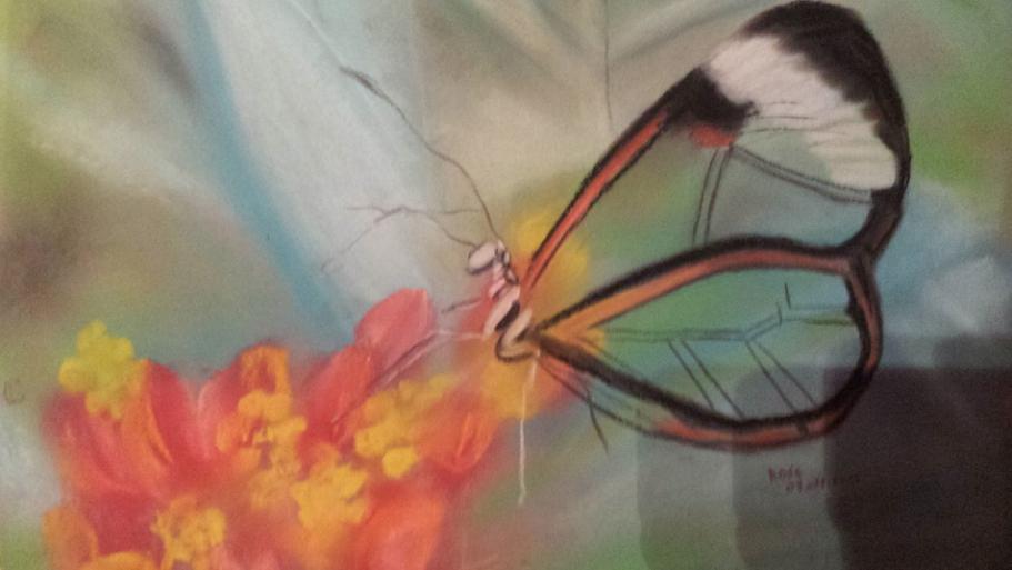 TRANSPARENCE - Rose Derrien - Cliquer pour afficher en grand
