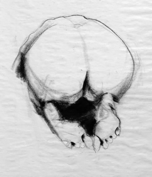 Life Drawing 08 - Dušan Wolczko