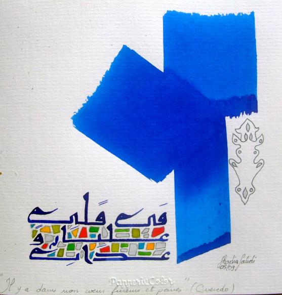 Fureurs et peines - Chadia Labidi