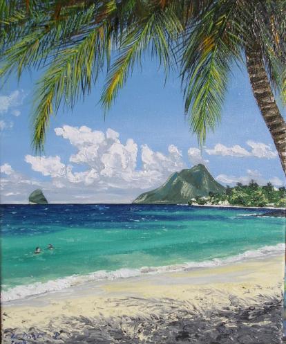 Rocher du Diamant - Patrick Le Port