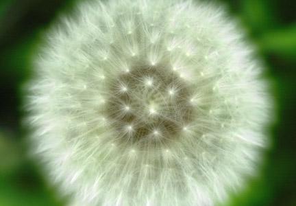 Nature - Luc Pottiez