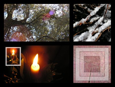 Collection d'hiver - Anne Bertino