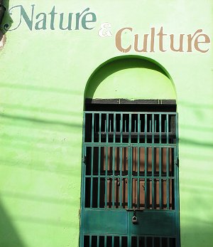Nature & Culture - Anne Bertino