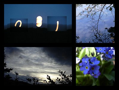 Sortilèges de base - Anne Bertino