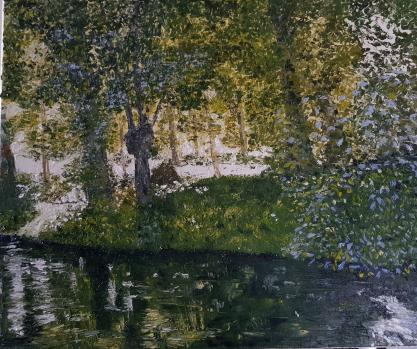 Le Marais poitevin ensoleillé - Claude BONNÎN