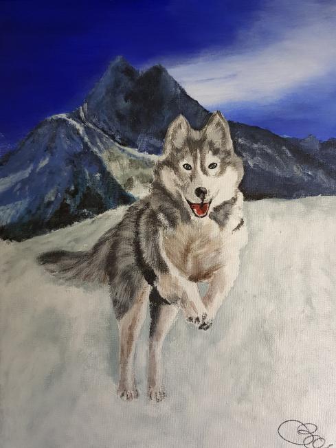 Chien dans la neige - Claude BONNÎN