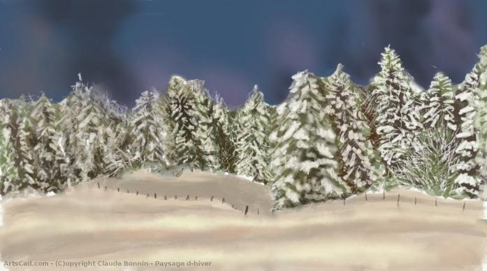 Paysage de neige - Claude BONNÎN - Click to enlarge