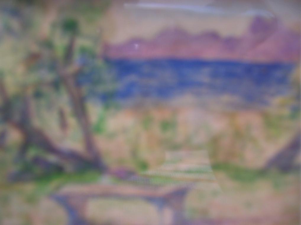 Montagne et Forêt - Hassen Zardoumi - Cliquer pour afficher en grand