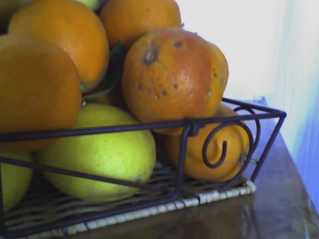 Corbeille d'oranges - Hassen Zardoumi - Cliquer pour afficher en grand