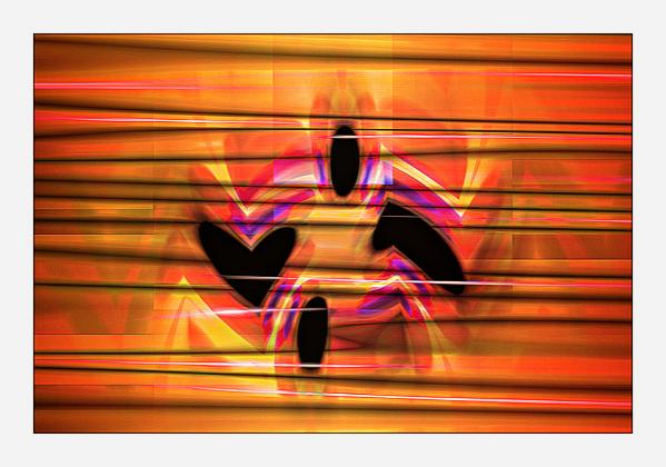MASQUAF. - Kabu Kiparis - Click to enlarge