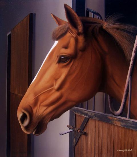 El favorito - Sergio Gaspar