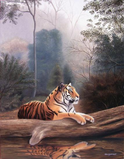 El tigre y sus dominios - Sergio Gaspar