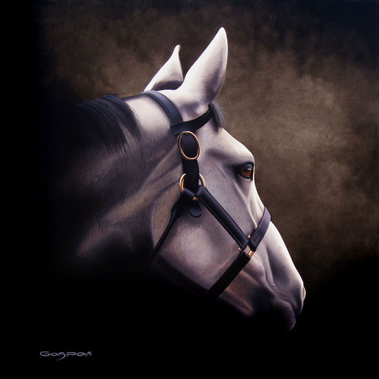 Un caballo blanco en la oscuridad - Sergio Gaspar