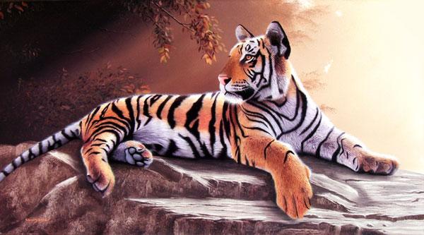 Tigre Joven - Sergio Gaspar - Click to enlarge
