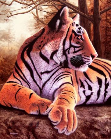 Tigre solitario - Sergio Gaspar