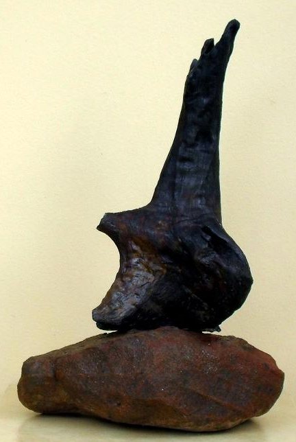 Victory - Dan Civa