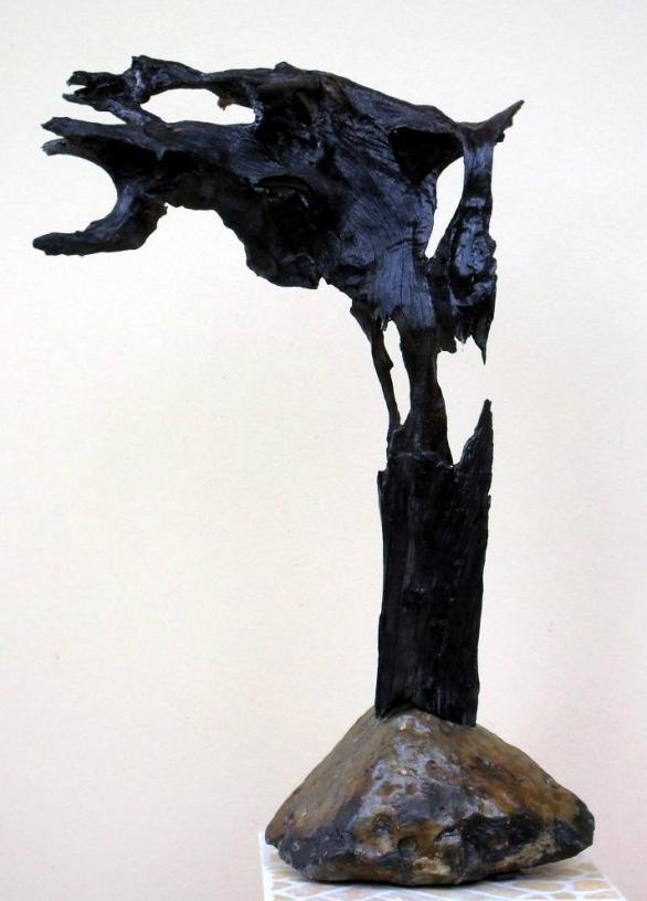 Flying bat - Dan Civa - Click to enlarge