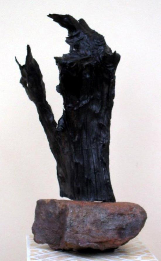 The lecturer - Dan Civa