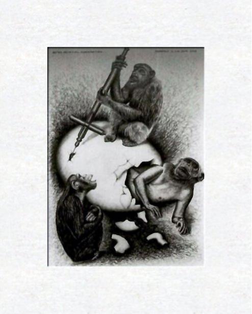 Chimpanzees with self portrait - Dan Civa