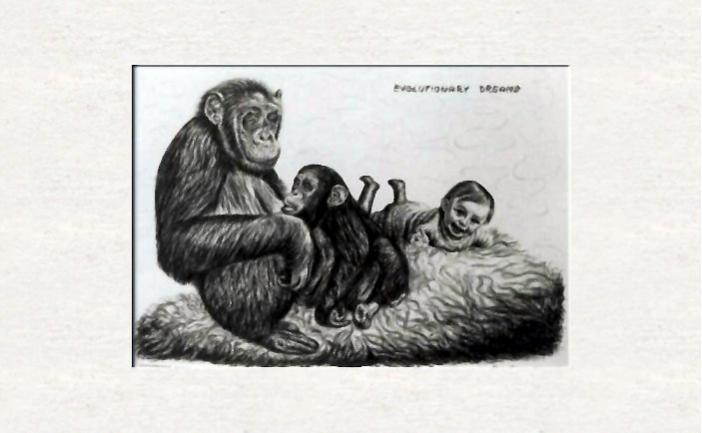 Chimpanzee with baby and self portrait, 3 months - Dan Civa - Cliquer pour afficher en grand