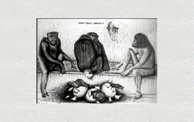 What about Darwin...? - Dan Civa - Click to enlarge