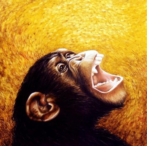 Chimpanzee portrait - Dan Civa