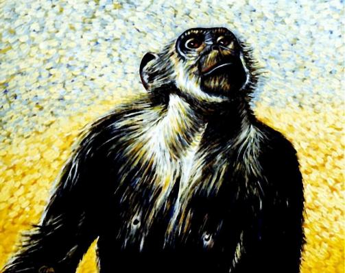 Monkey portrait (2) - Dan Civa