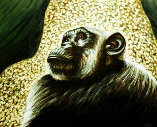 Monkey portrait (3) - Dan Civa