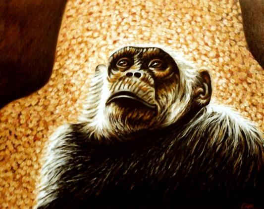 Monkey portrait (4) - Dan Civa