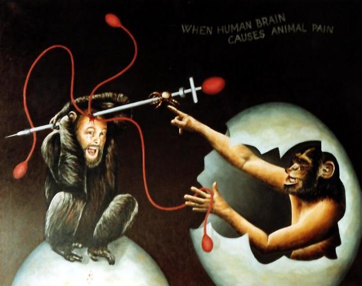 When human being causes animal pain - Dan Civa - Click to enlarge
