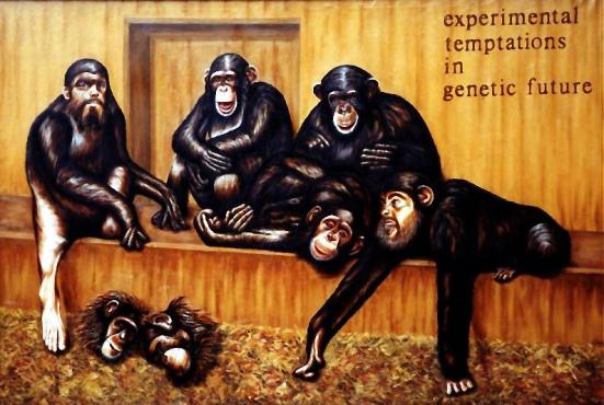 Chimpanzee group and self portraits - Dan Civa