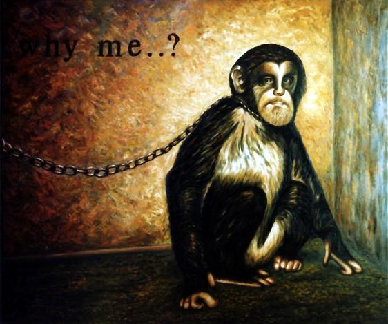 Why me...? - Dan Civa
