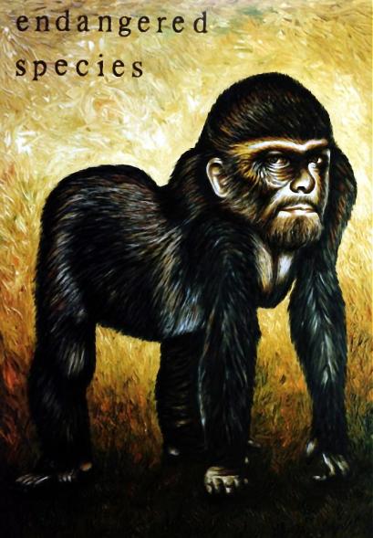 Gorilla with self portrait - Dan Civa