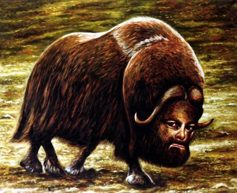 Musk ox with self portrait - Dan Civa