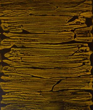 UNTITLED  40 - Yun Moon