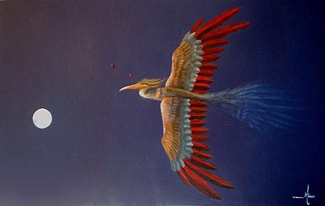Freedom - Claudio Miklos